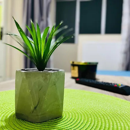 S&s Parcare La Locatie !!! Temešvár