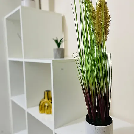 S&s Parcare La Locatie !!!