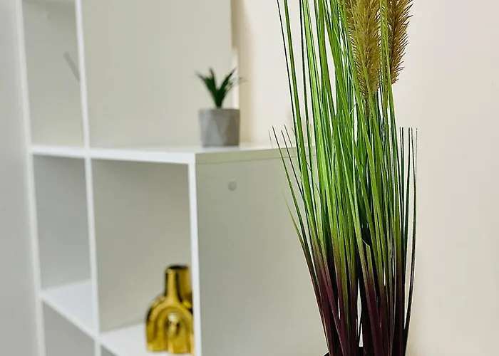 S&s Parcare La Locatie !!!