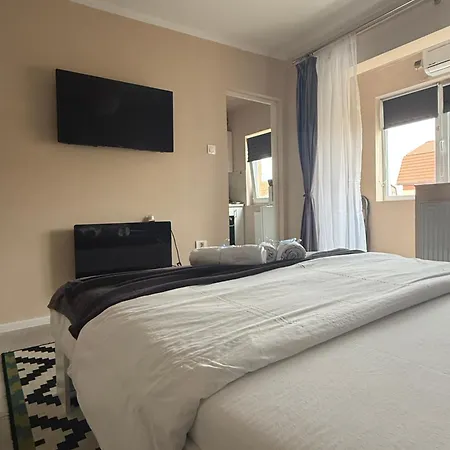 S&s New Parcare La Locație !!! Apartament Timişoara