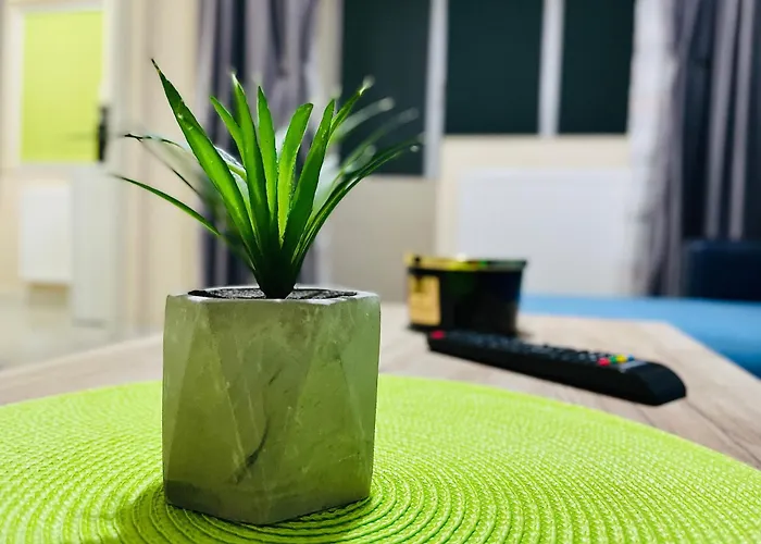 S&s New Parcare La Locație !!! Timişoara