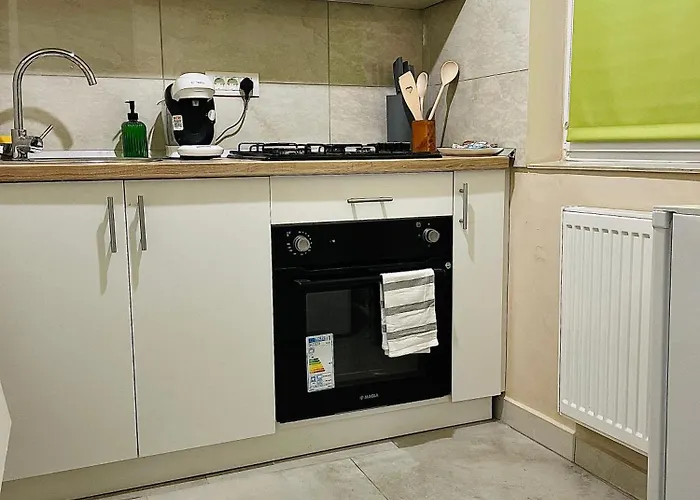 S&s Parcare La Locatie !!! Apartment